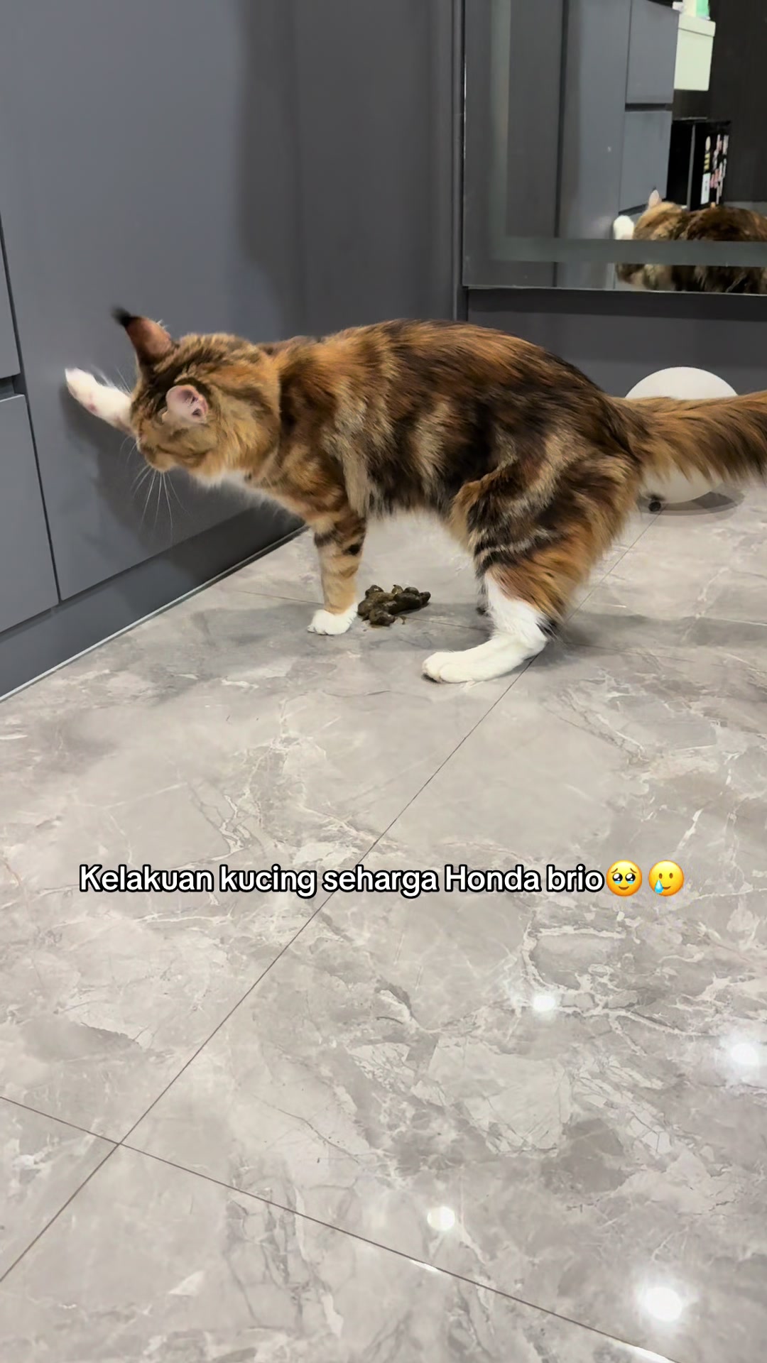 @keluargaboolat