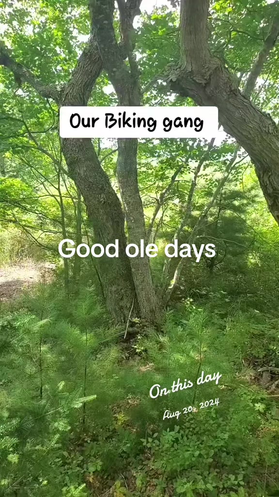 @Tracey 🇨🇦