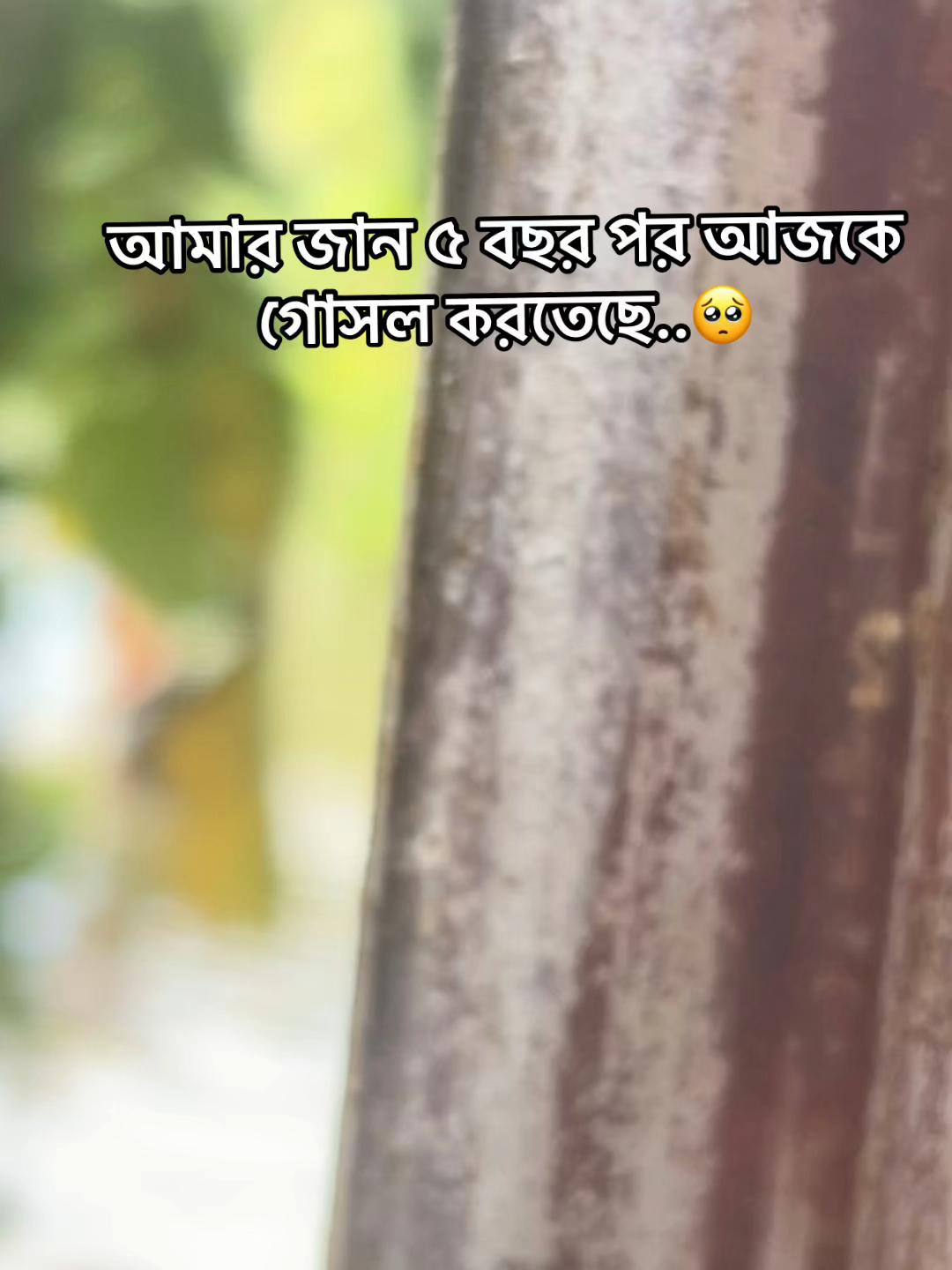 @সুহাসিনী...😜