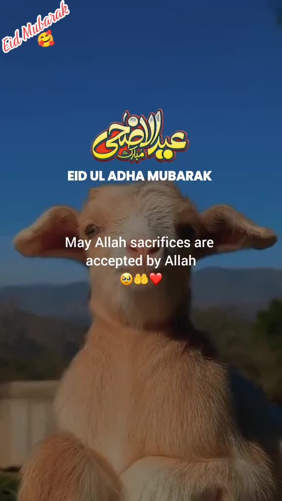 @Khichi786✅