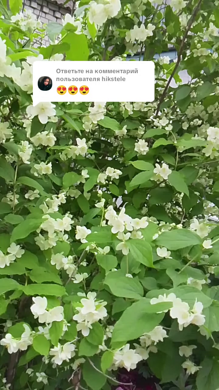 @одна такая