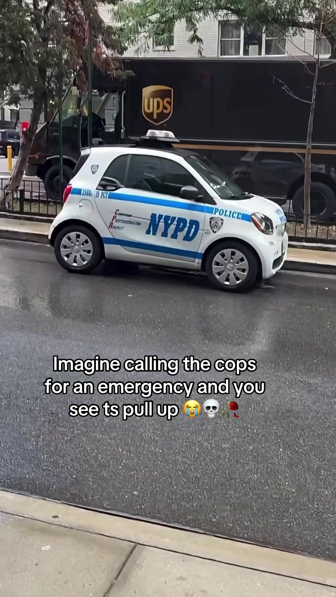 @𝘒𝘶𝘳𝘴𝘦
