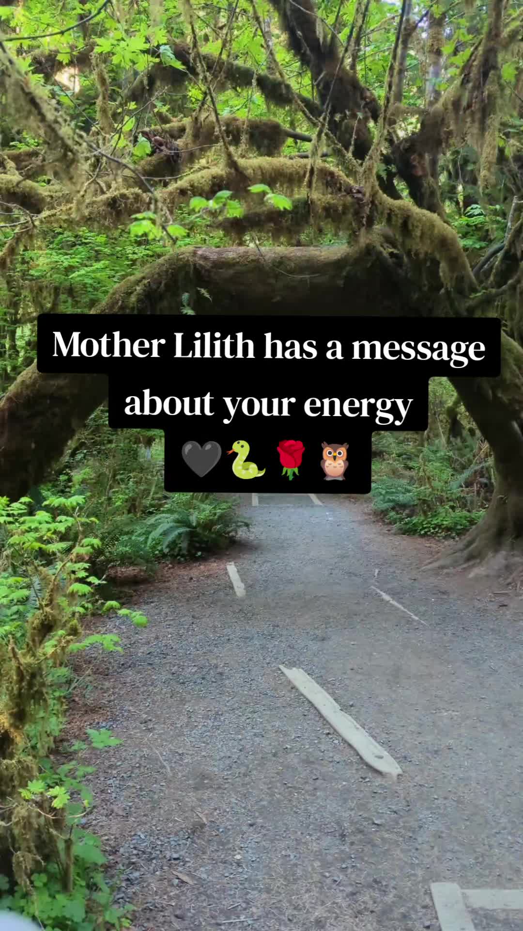 @Lilitu Tarot ❤️🔥🥀