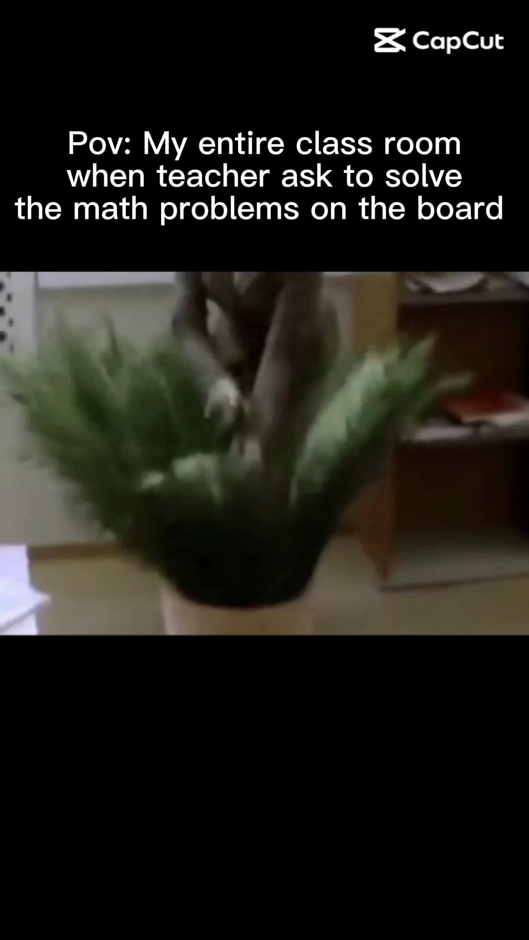 @Shannelle