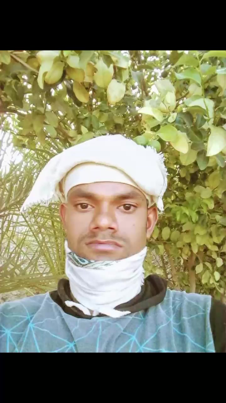 @মোঃ মিরাজ হোসেন