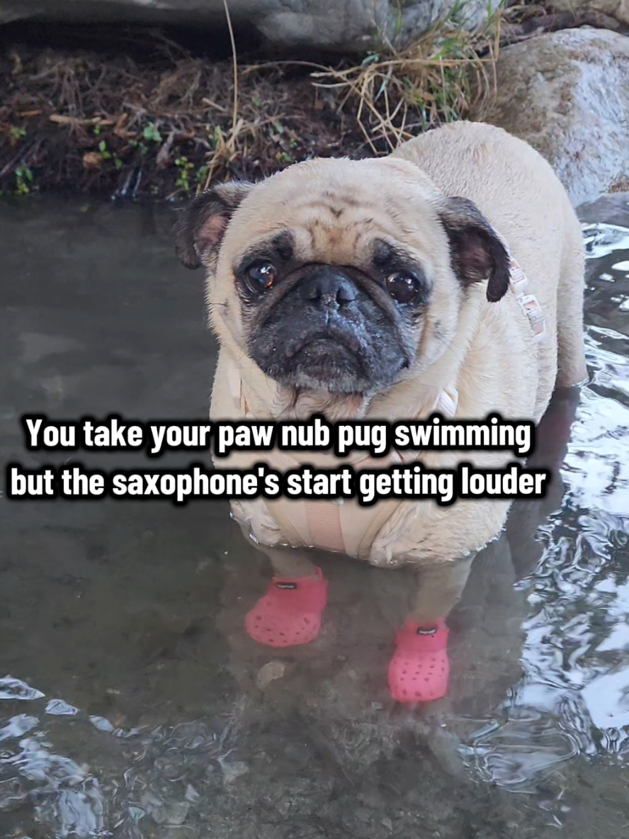 @Lulu