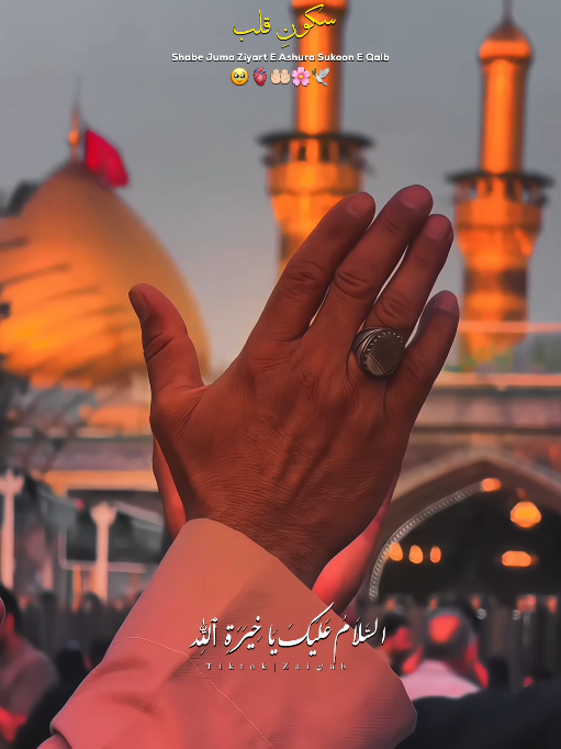 @𝐙𝐀𝐈ن𝐀𝐛ރ