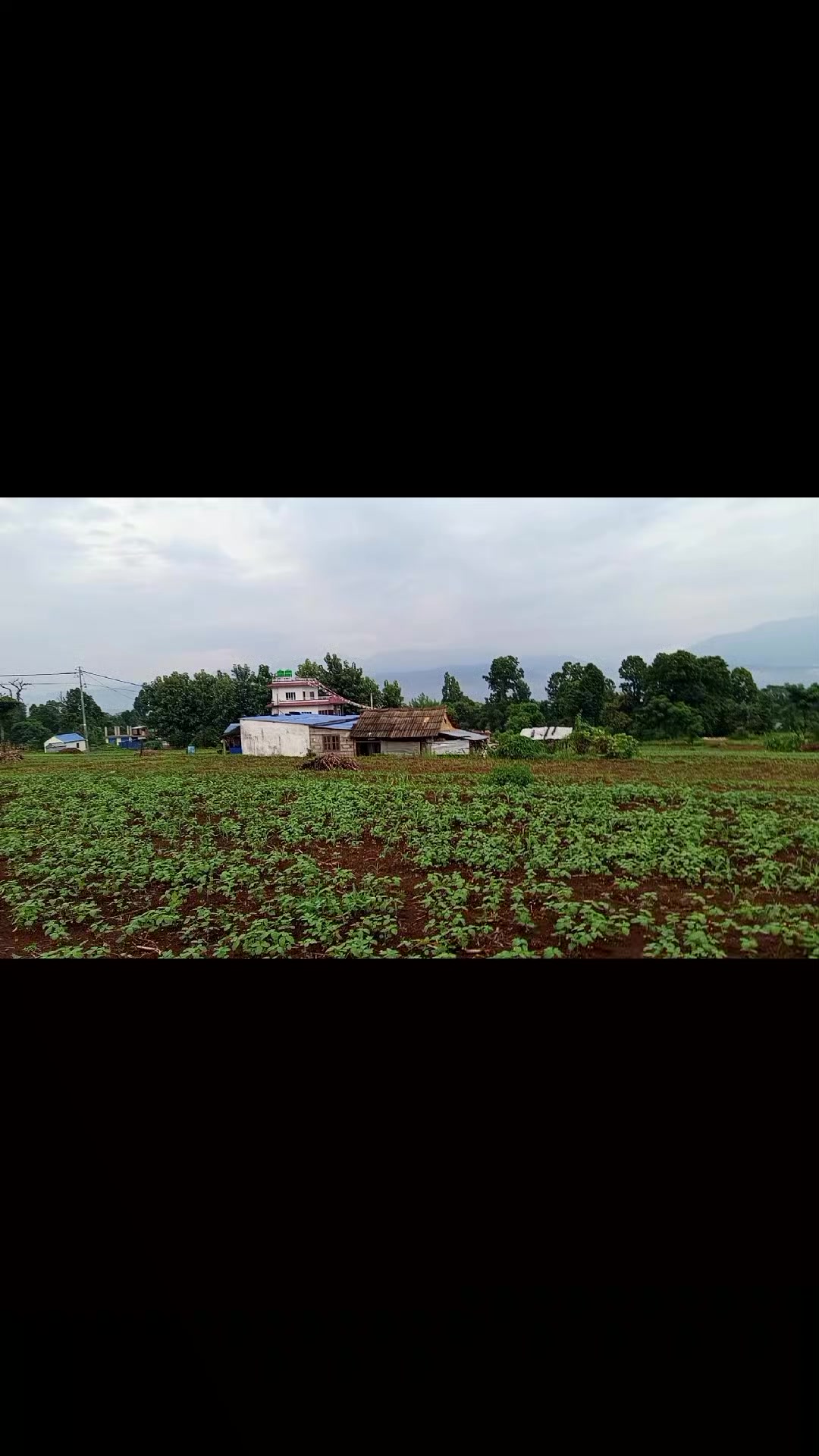 @Asta Tamang