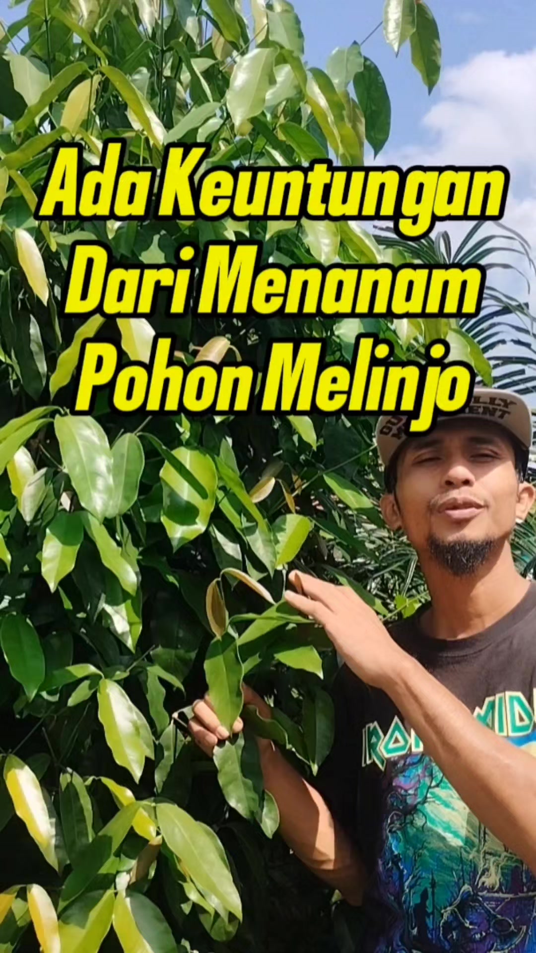 @Bukit Farming