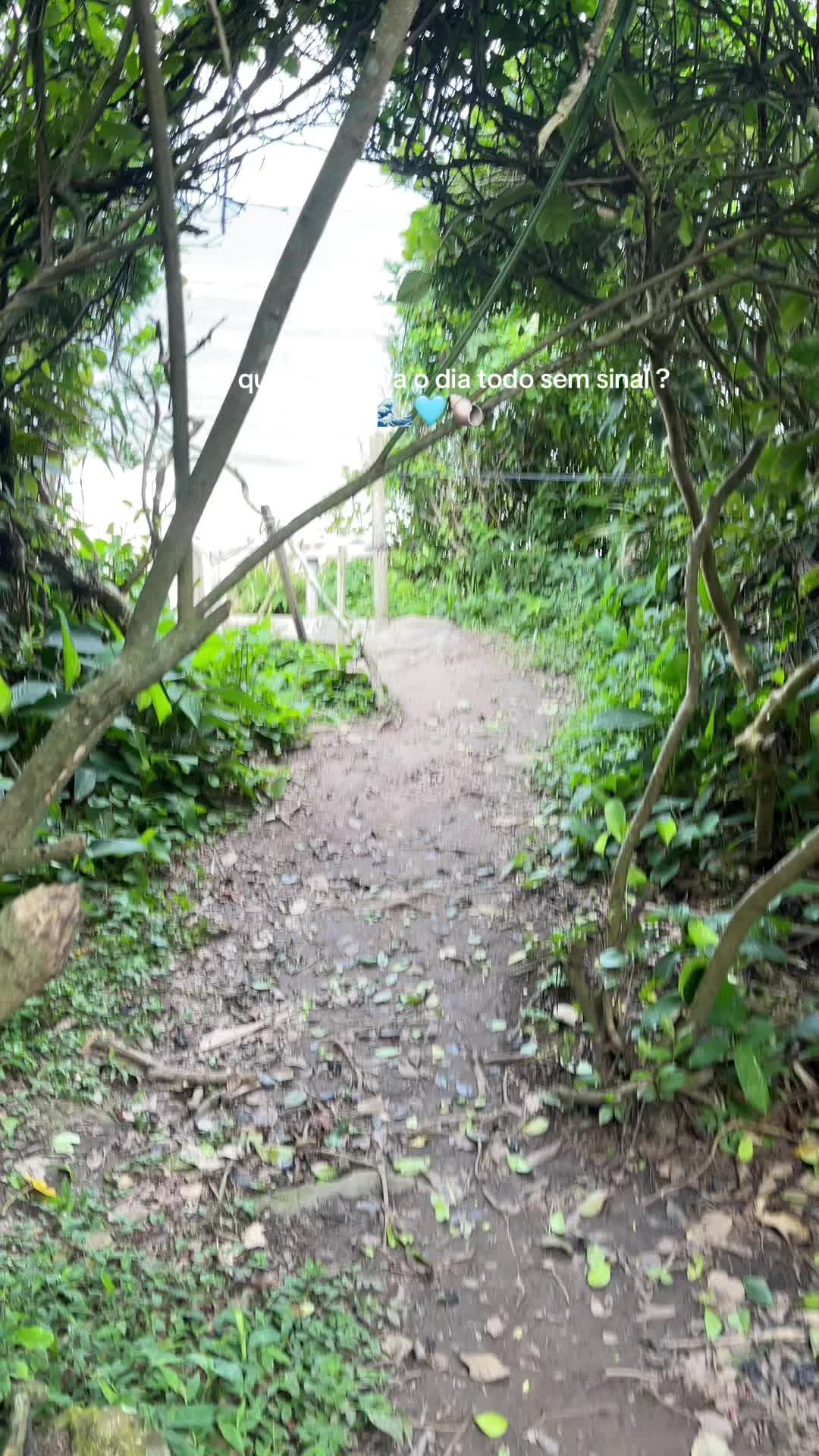 @Quelinha