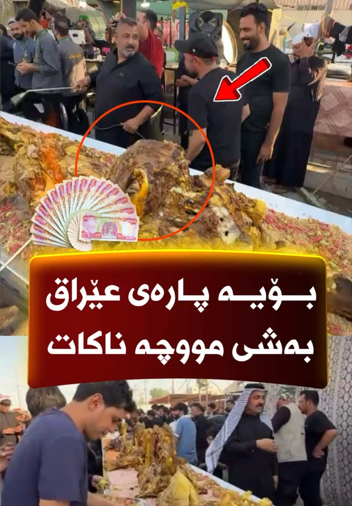 @🎤📺 𓆩جیگر هەركی𓆪 Journalist