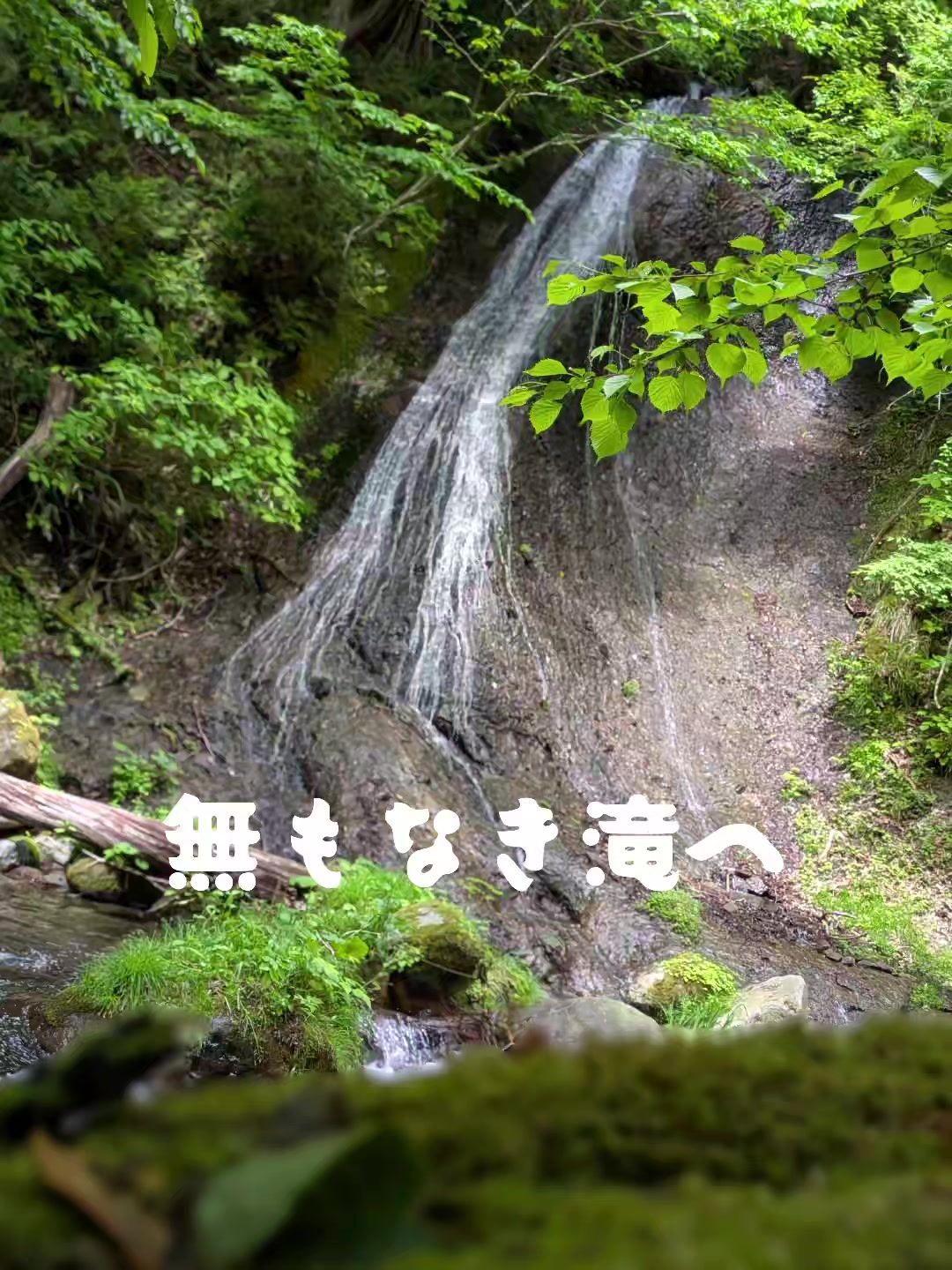 @若旦那
