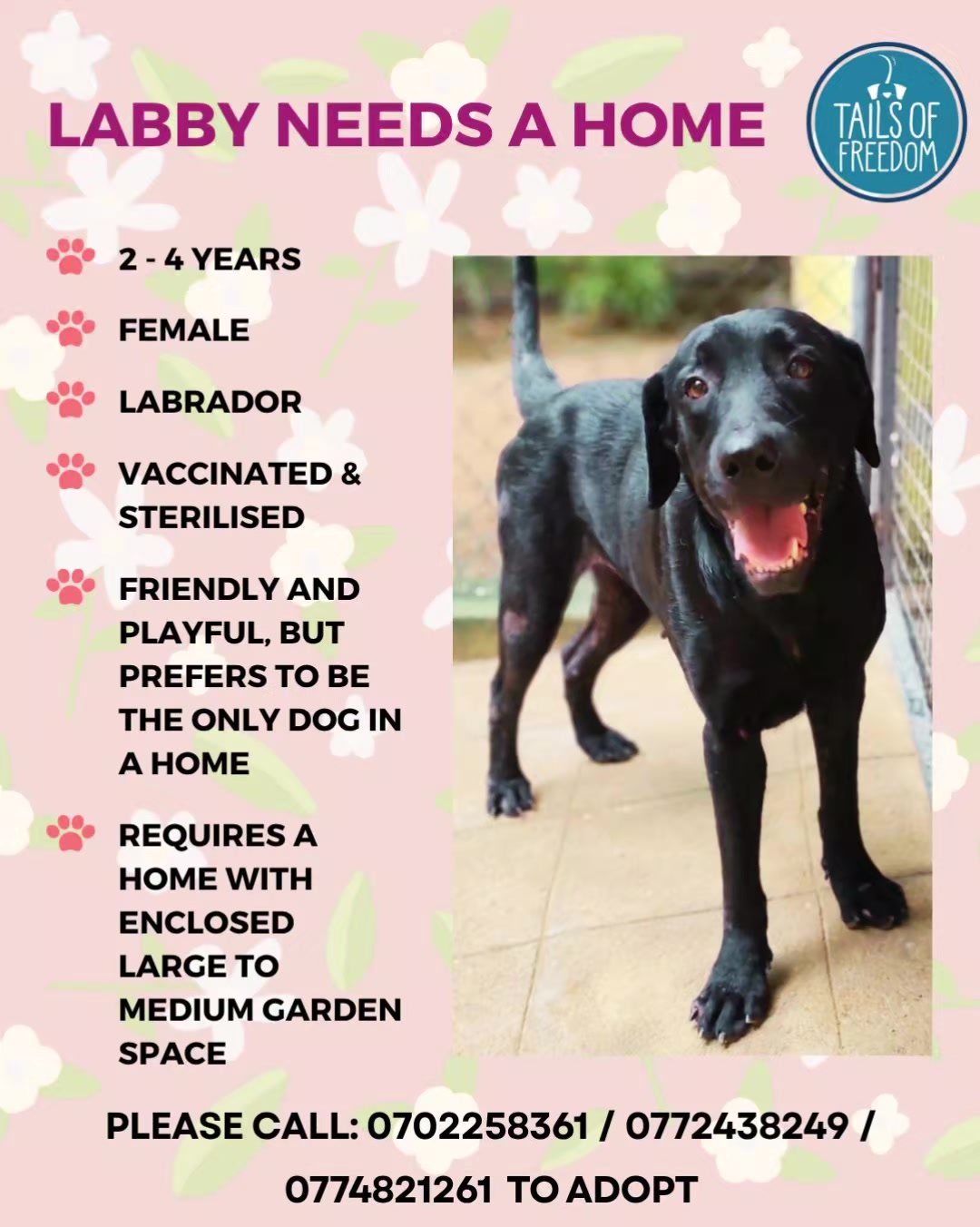 @tailsoffreedomsl