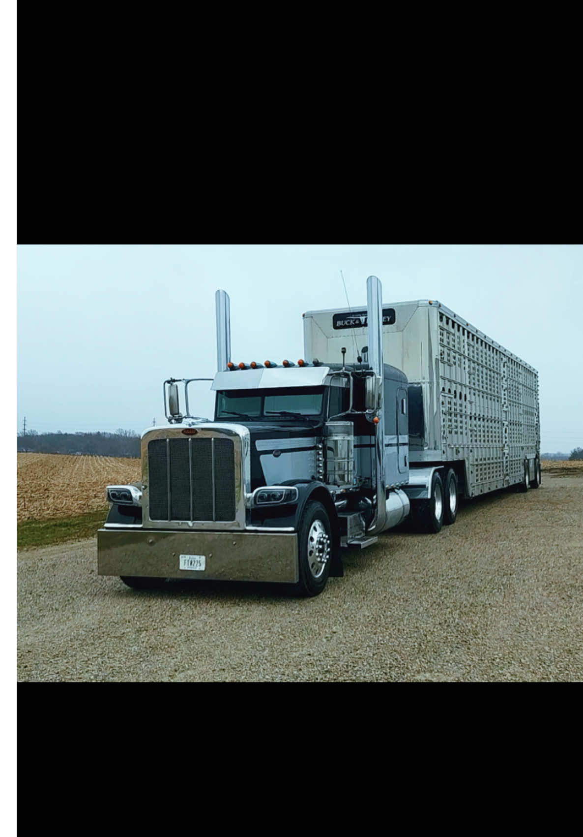 @Buckshot Express