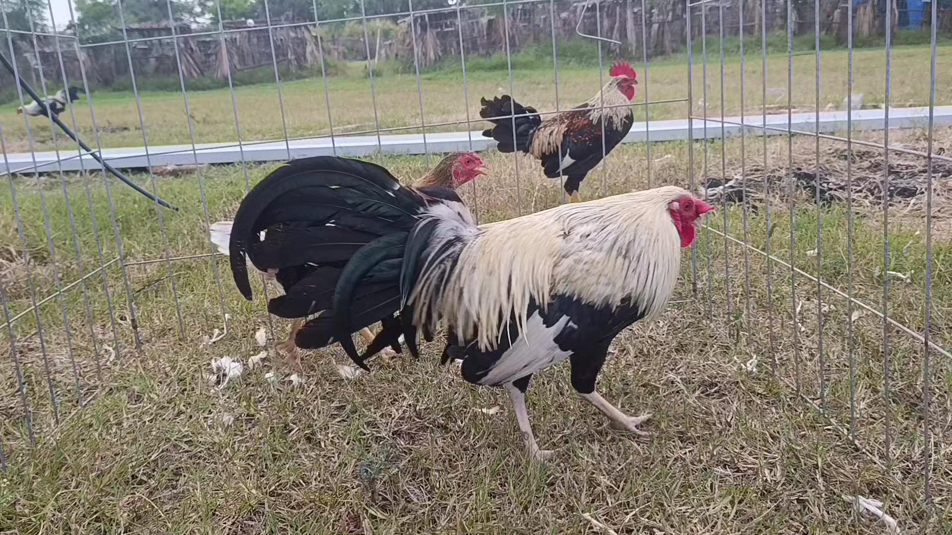 @Toño Moreno