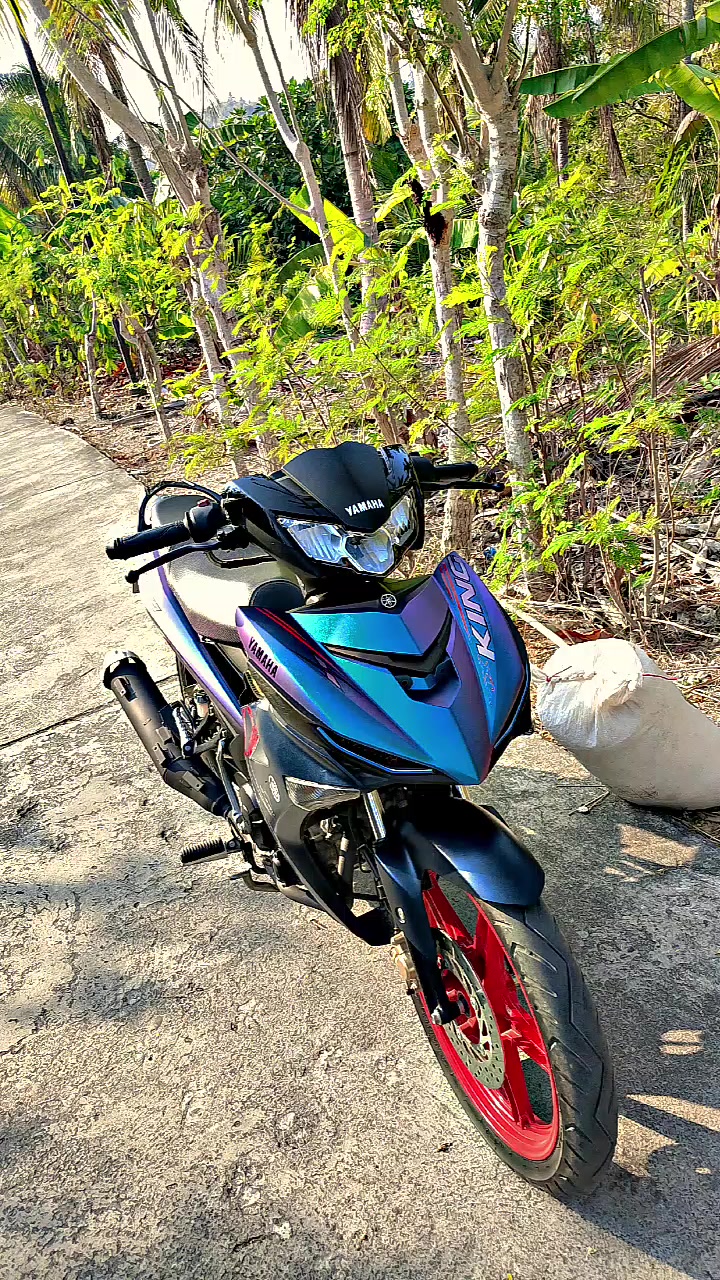 @Mx bocil🚀