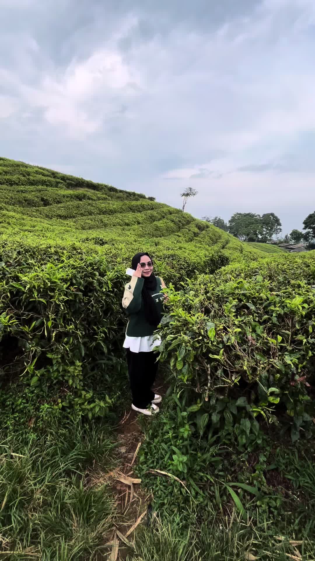 @Detri Mei