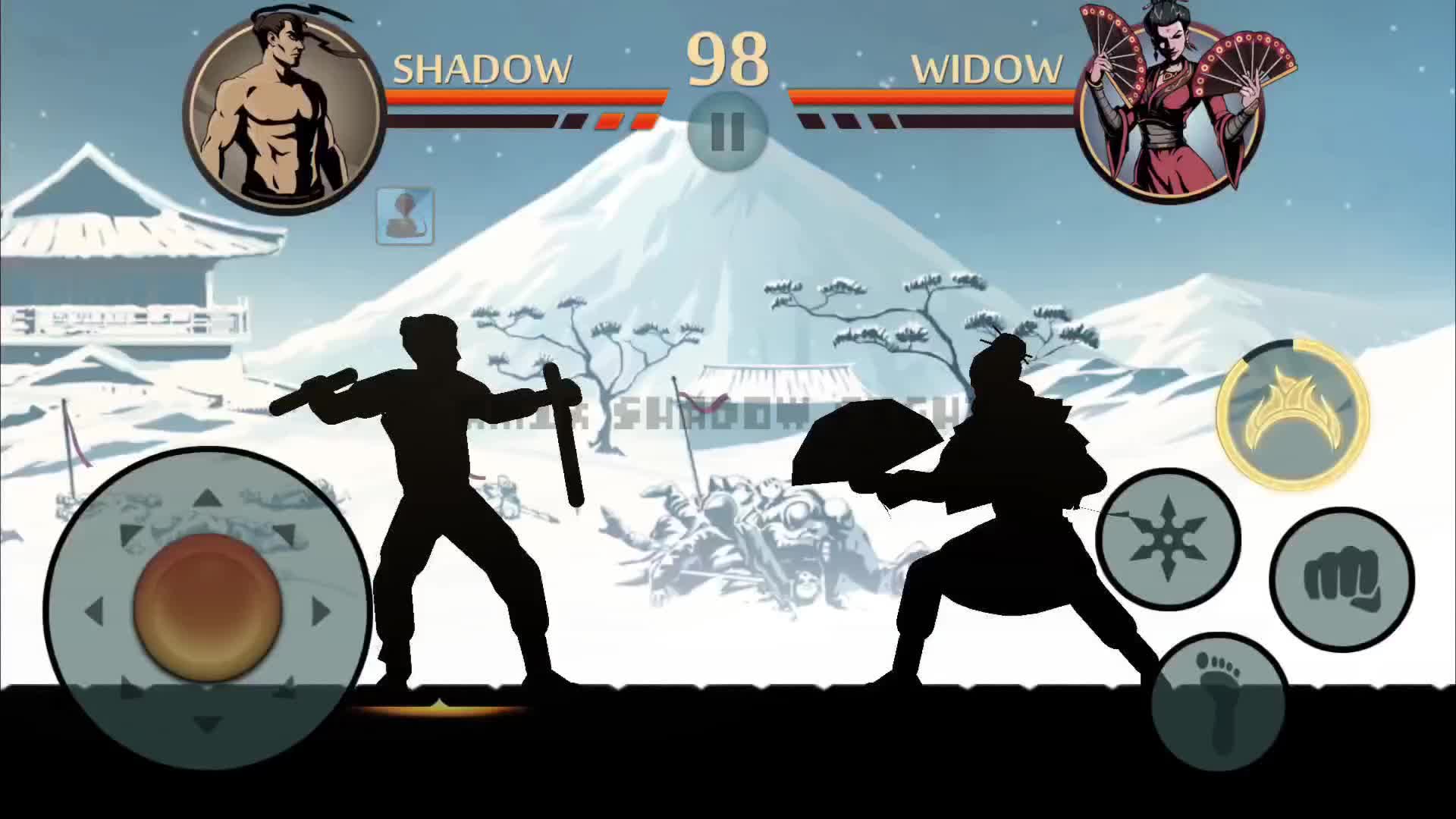 @Amir Shadow Fight