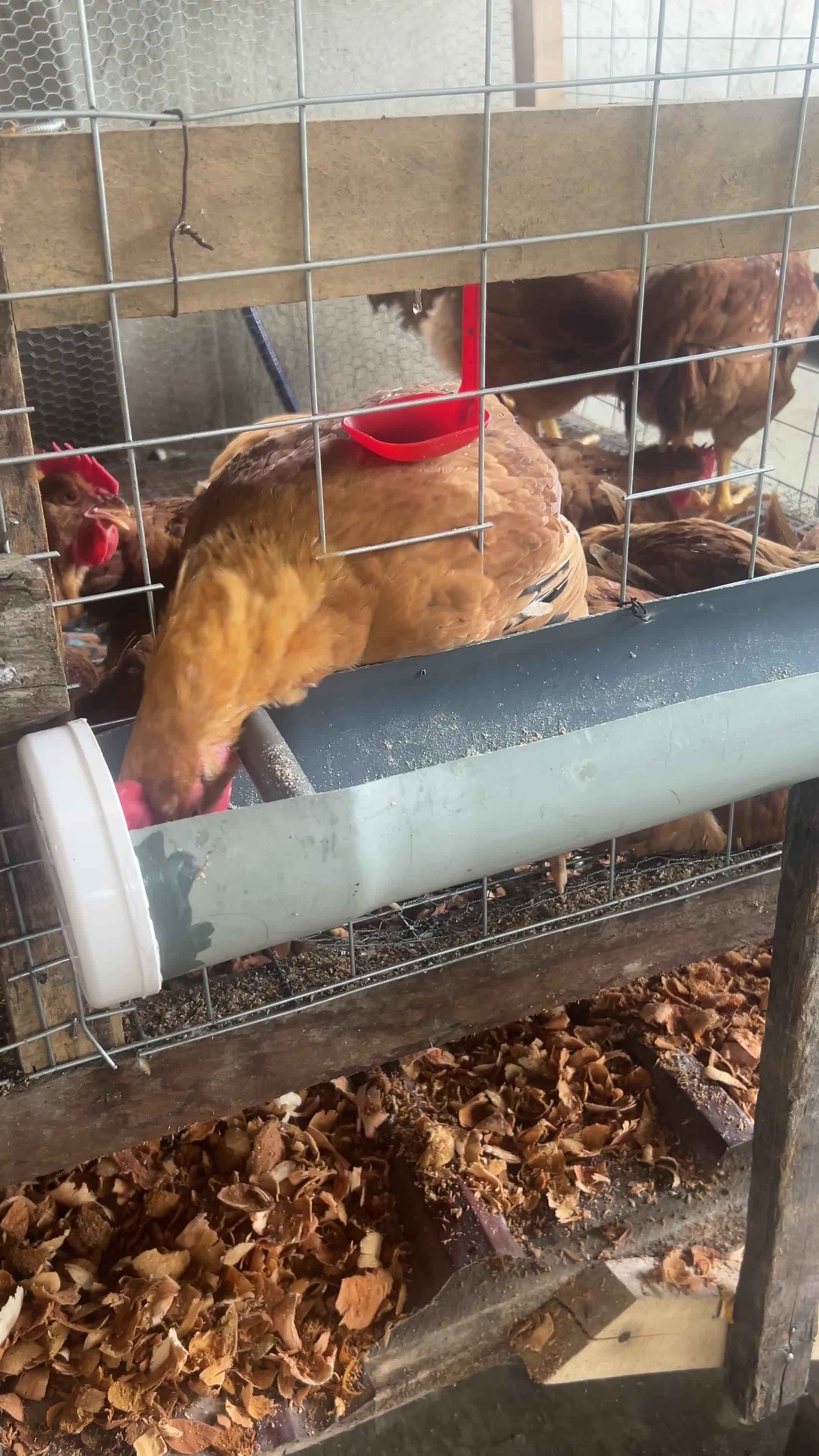@evansjobsfarms