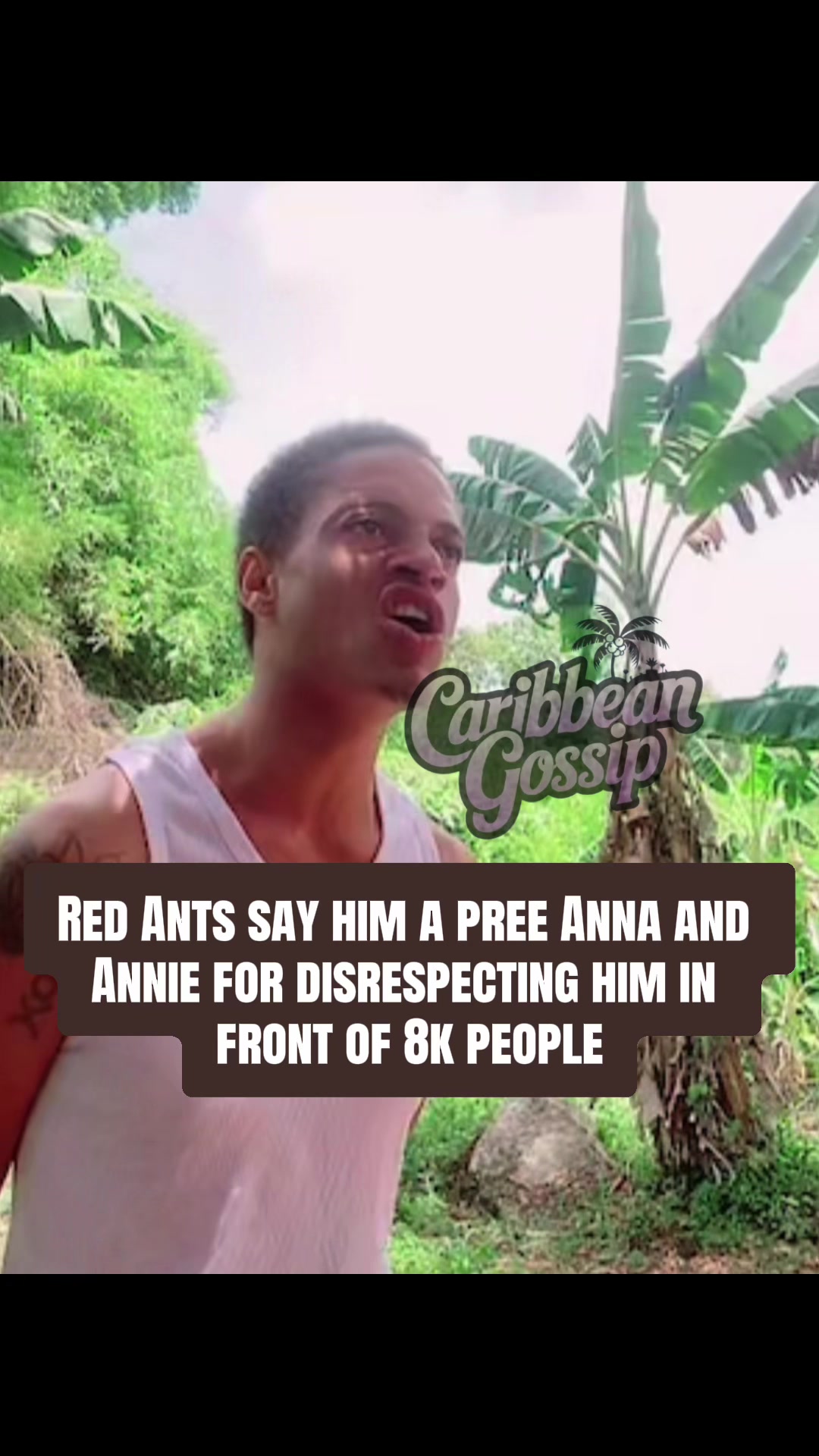 @✨Caribbean Gossip✨