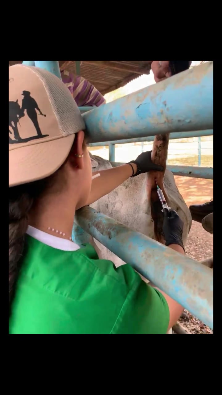 @Sofía Rivas