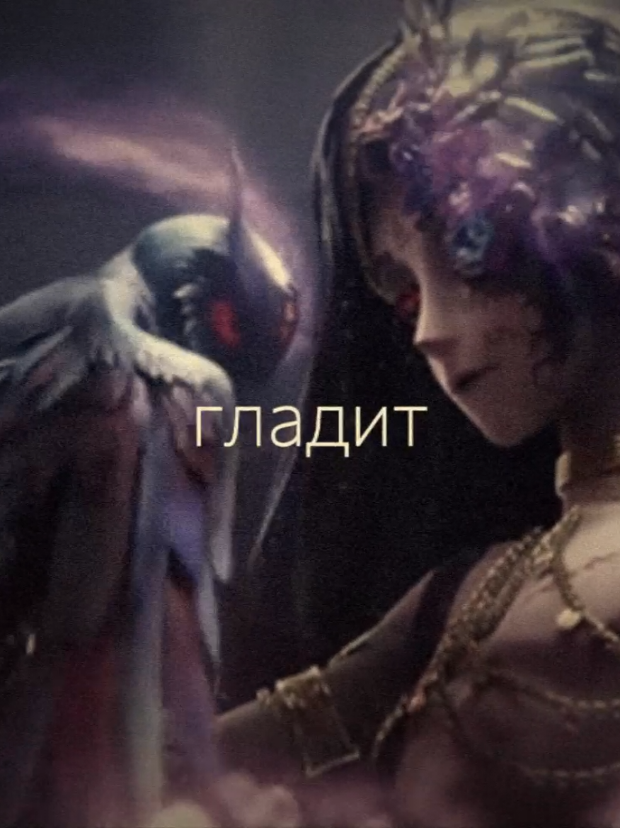 @Шот Айзавы