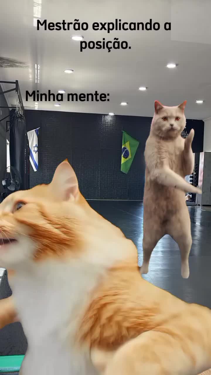 @jiu-jitsu 4 life Brasil