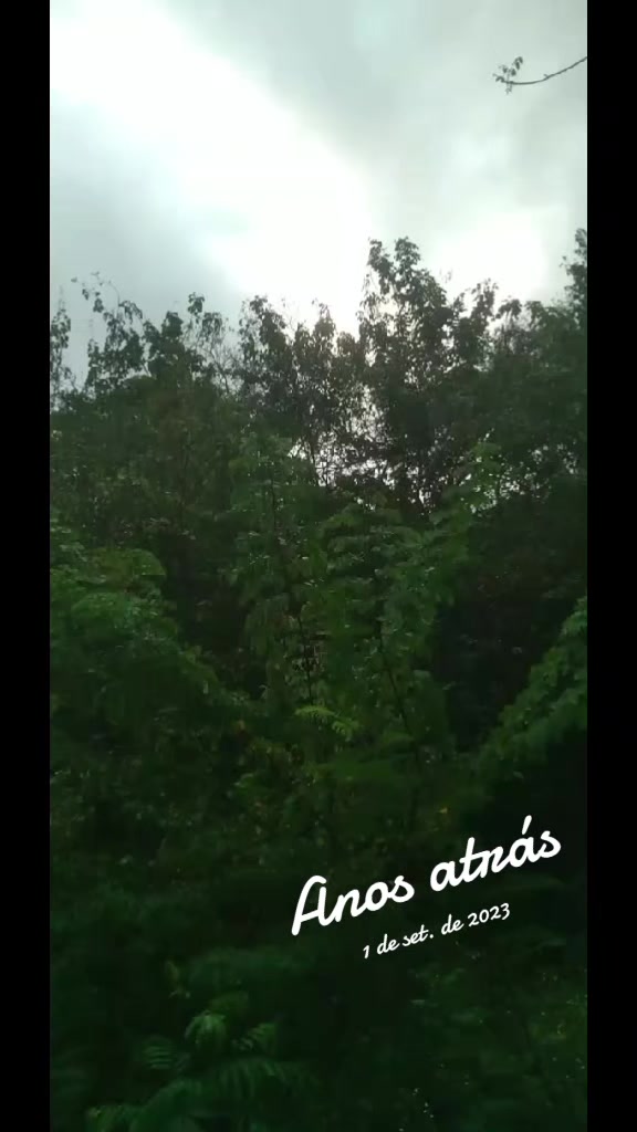 @rildermacambira