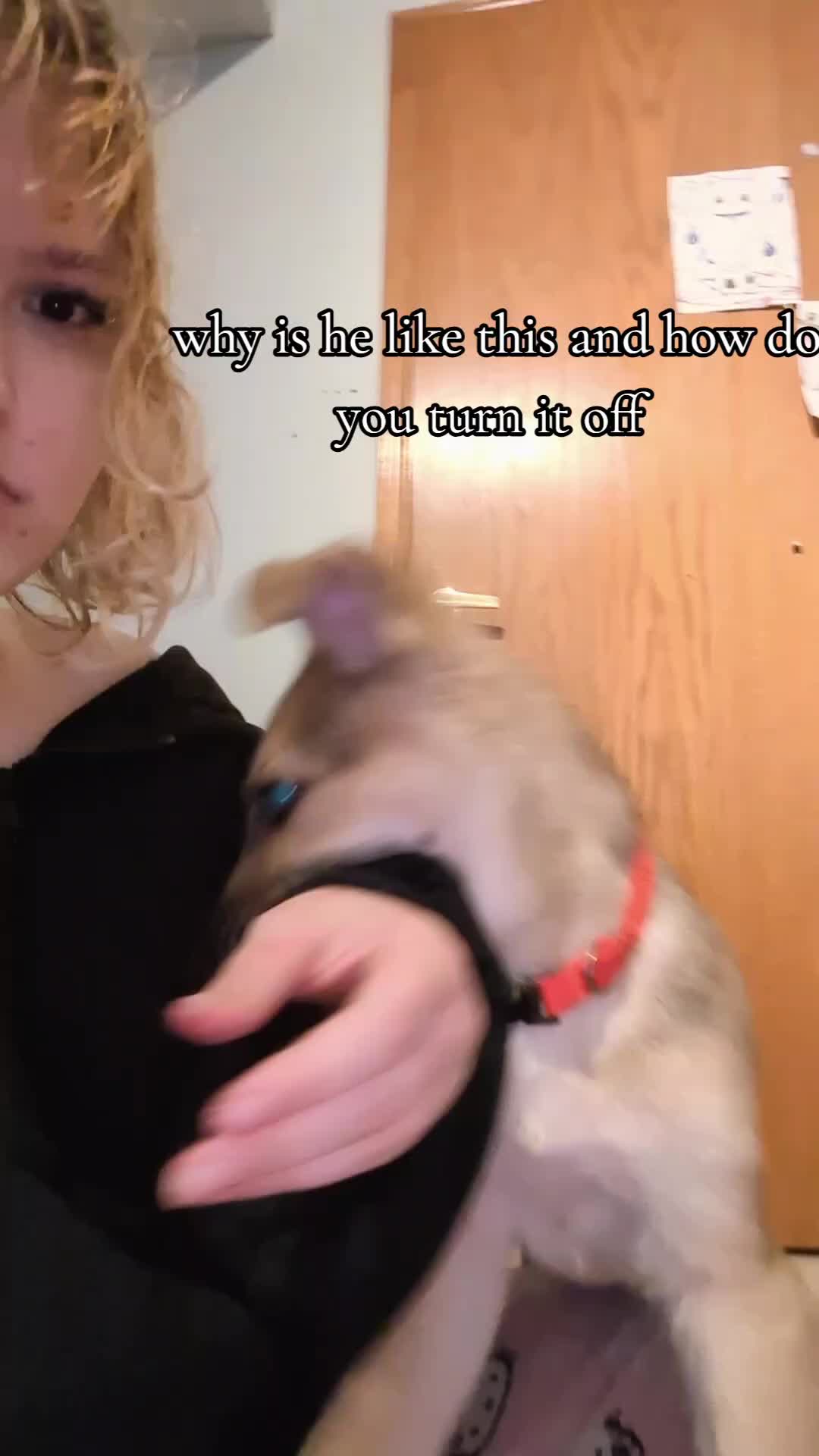 @Zelda >_<
