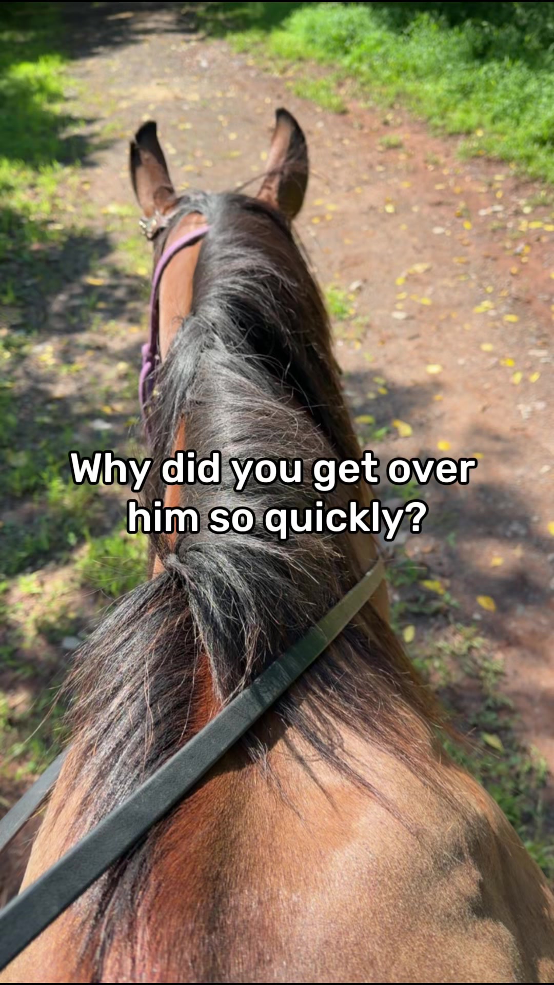 @Laney