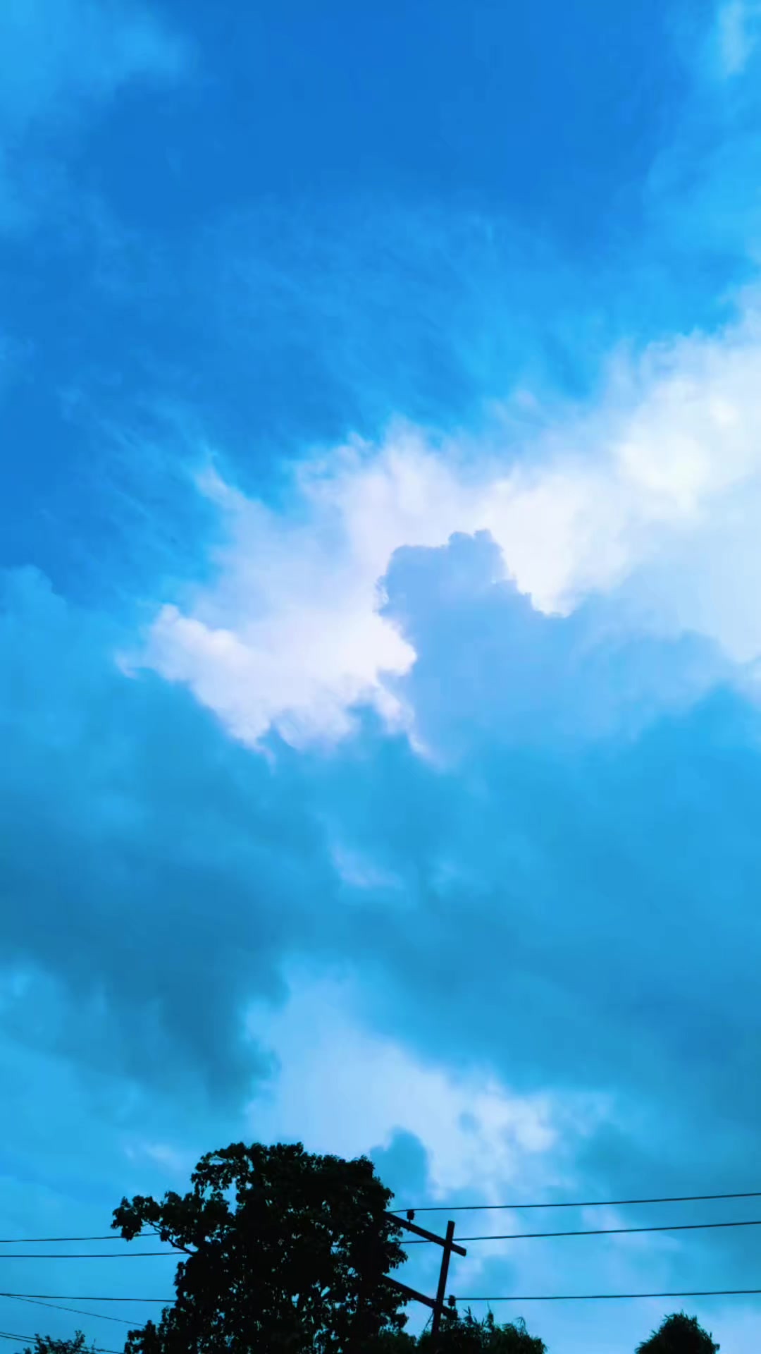 @nani🦋