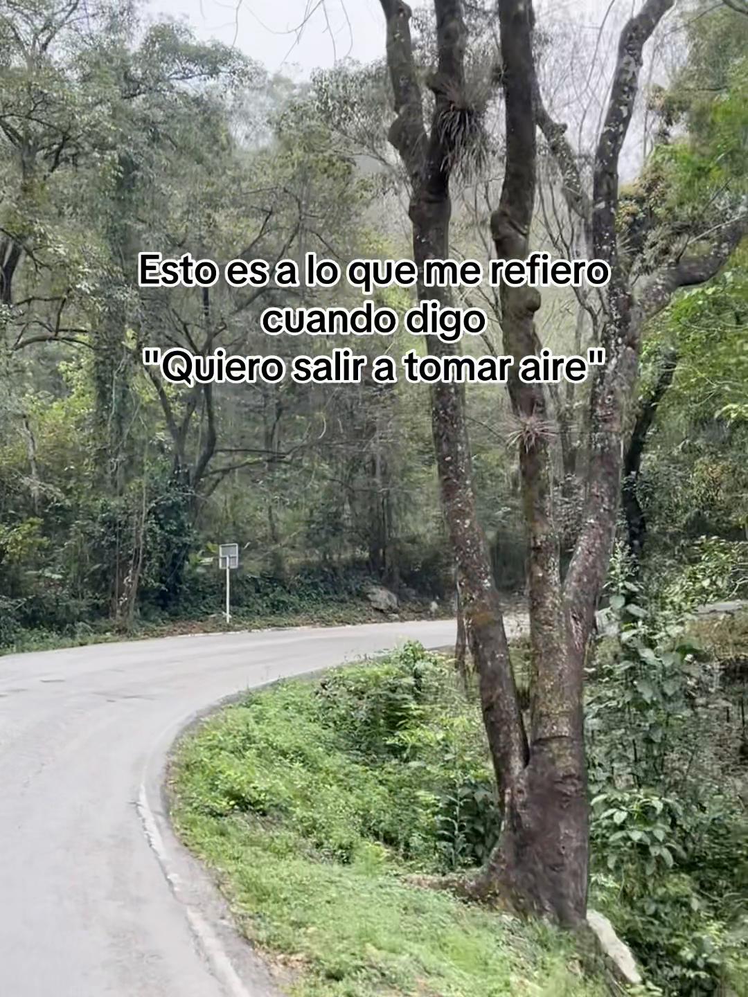 @Padron..🌸