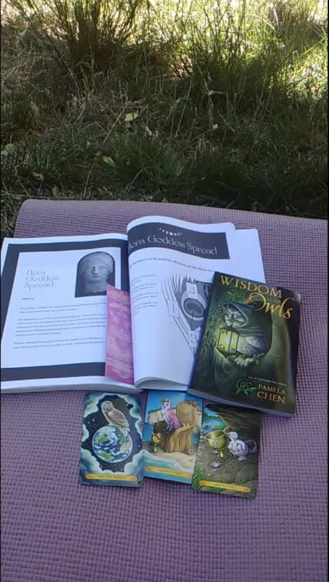 @the_owlsvisiontarot