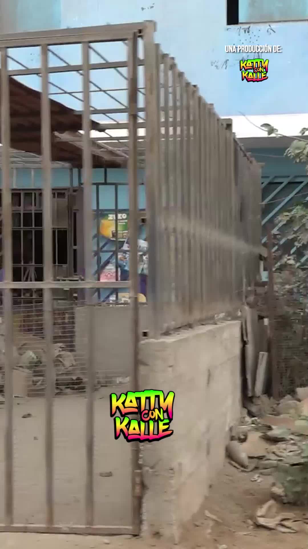 @Katty Villalobos