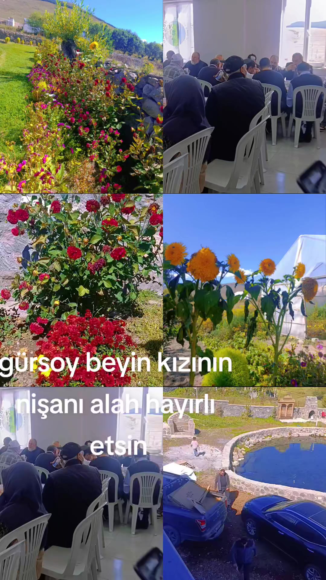 @Ardahan cataldere kunzut