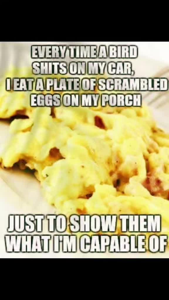 @Dixie