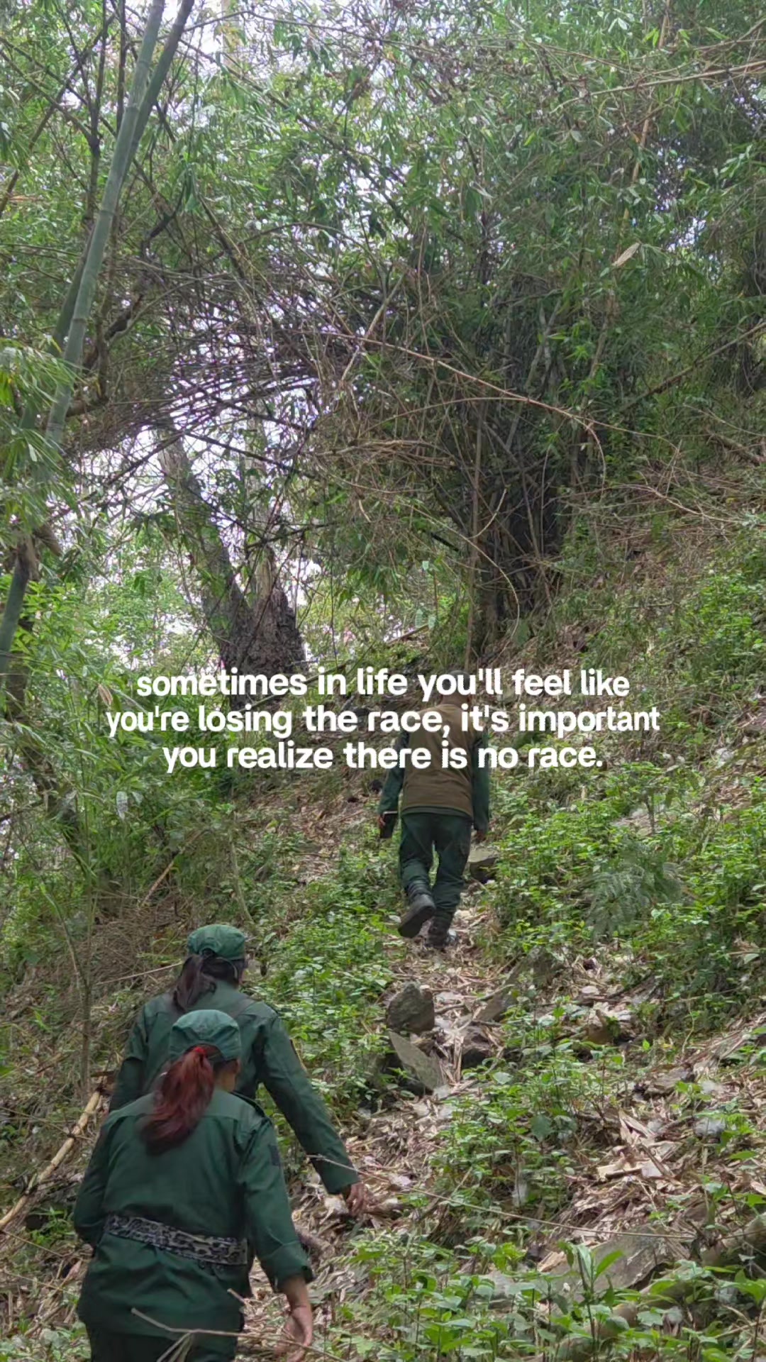 @T🦢