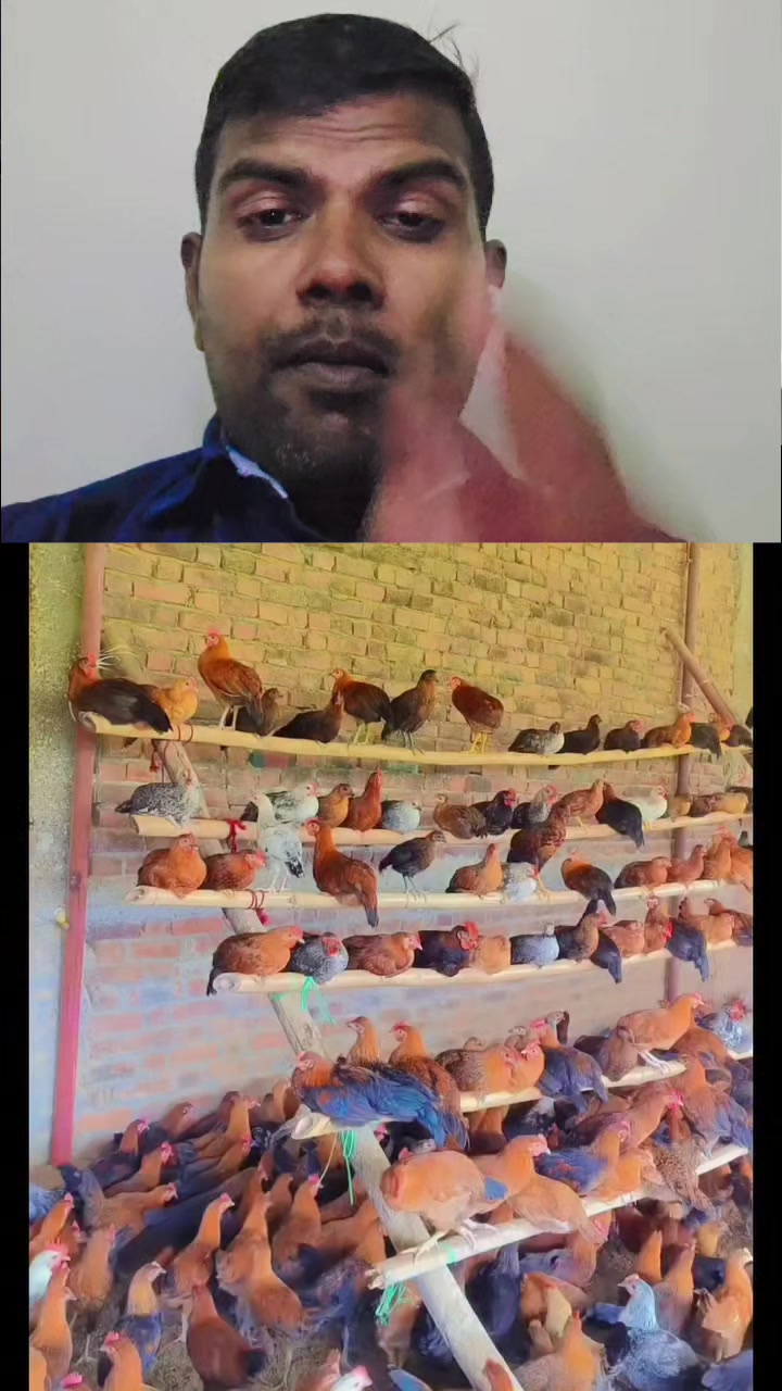 @user17446384362