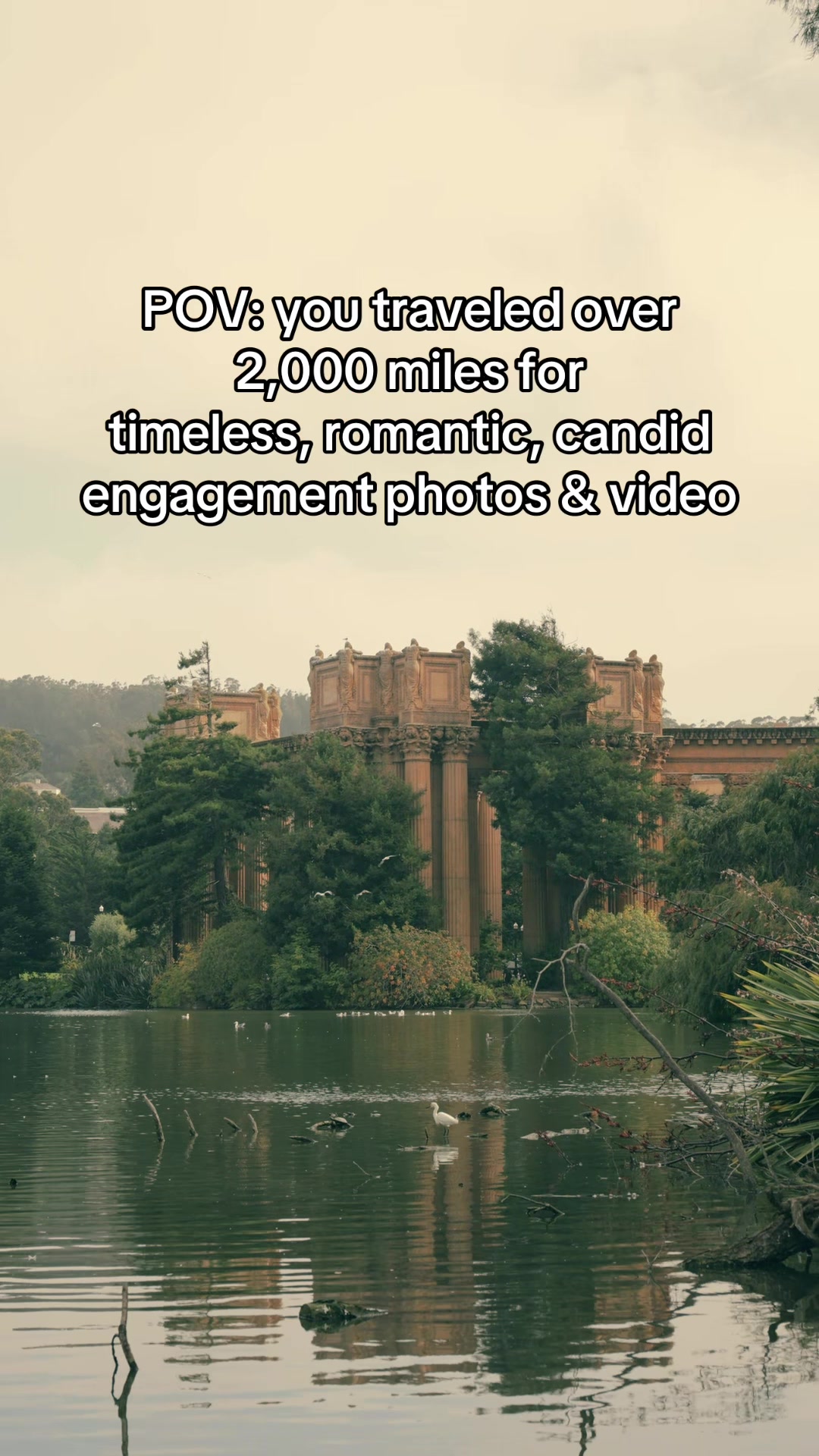 @SF Bay Area Photographer