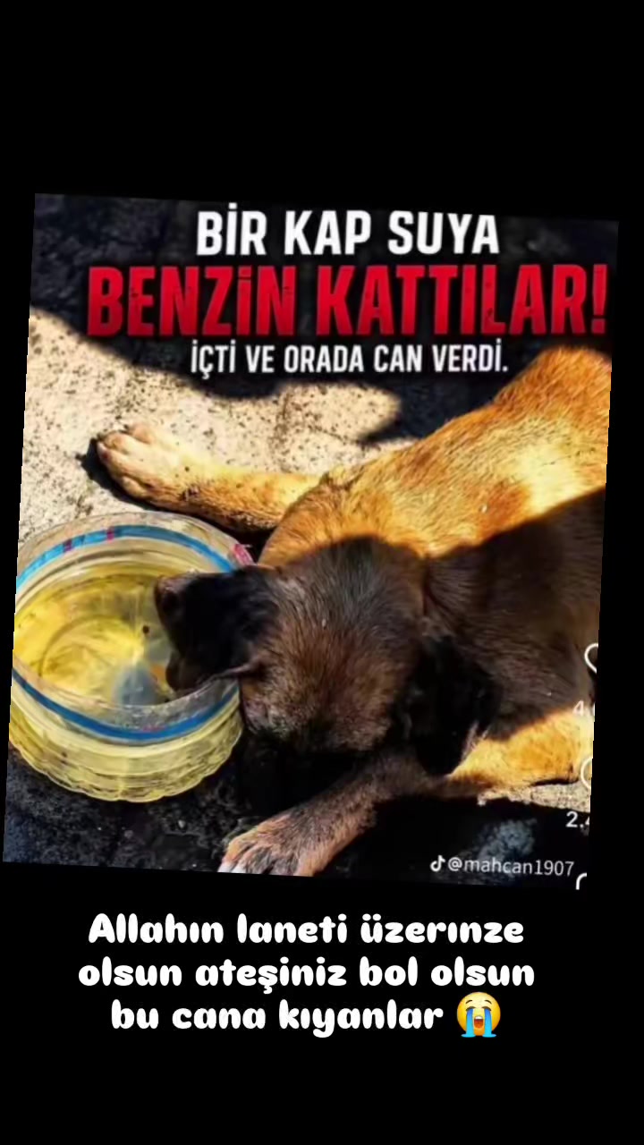@asii