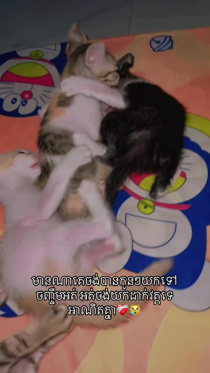 @DOMA ๐ฐ๐ญ๐ป๐ณ