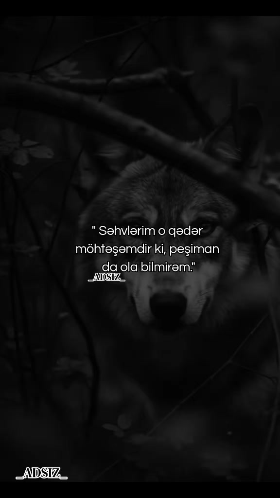 @_ADSIZ_