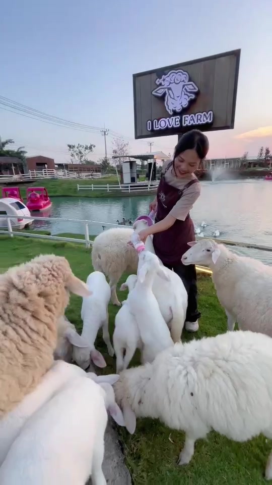 @I LOVE FARM