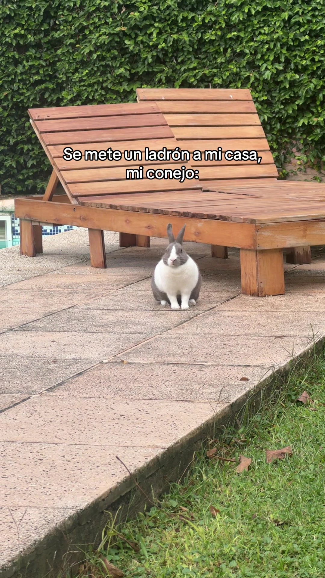 @Abril