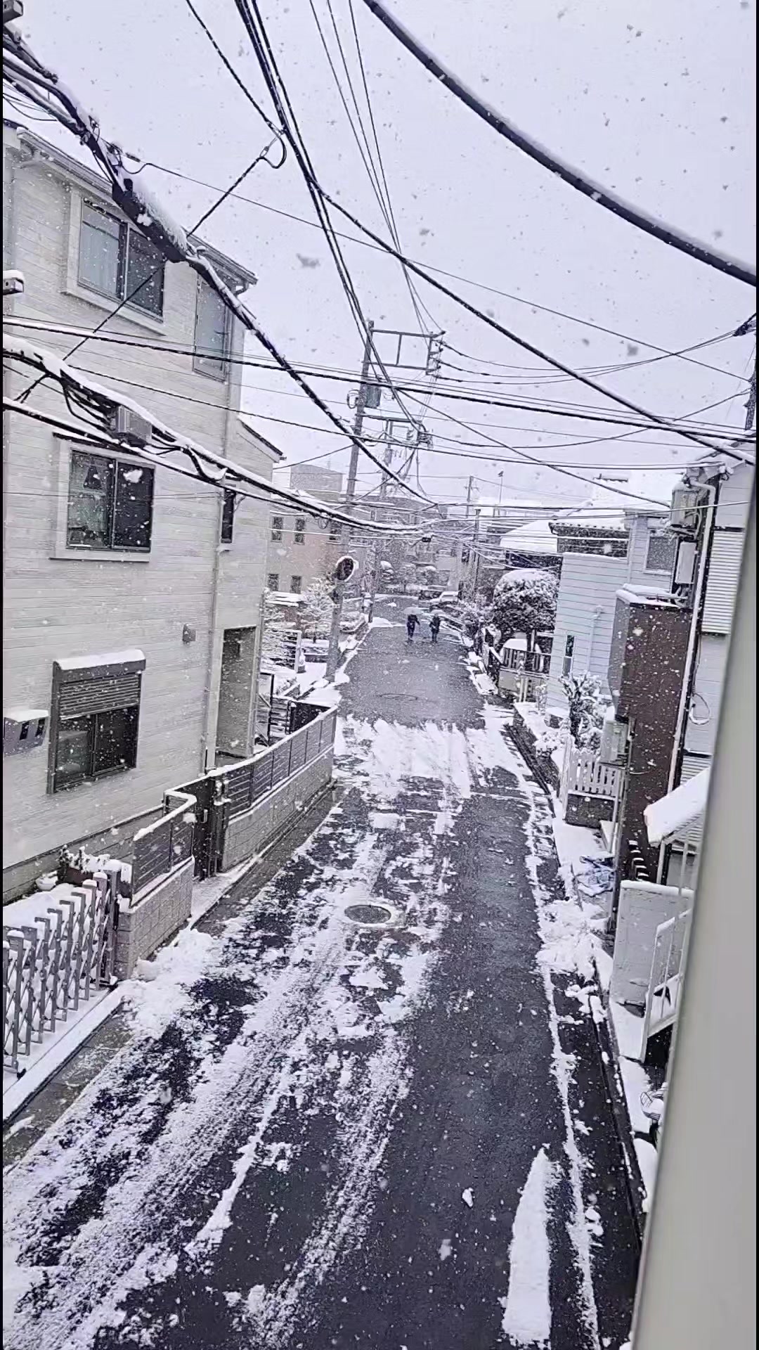 @ꜱɪʜᴀɴꜱᴀ ᴀᴍᴀʀᴀꜱɪɴɢʜᴇ  🤍