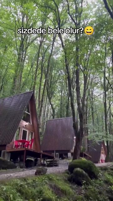 @GUNES