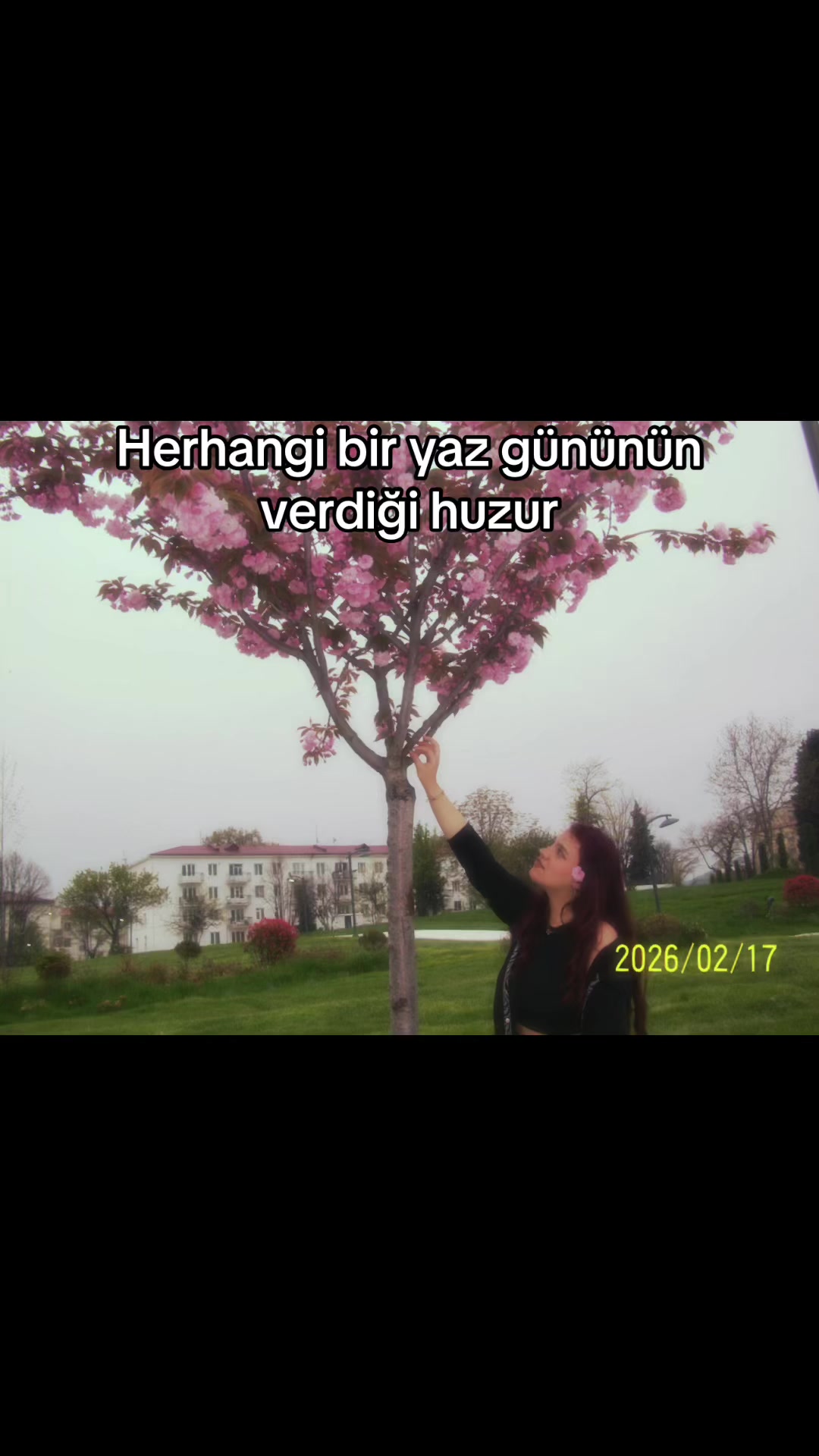 @Lem