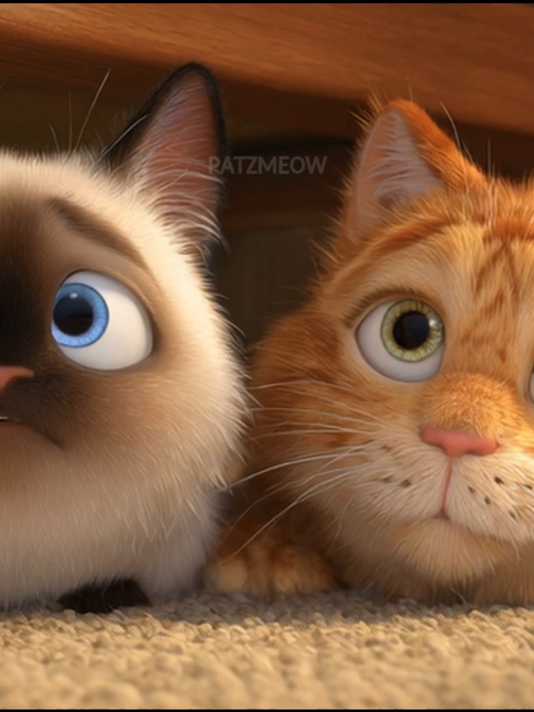 @patzmeow