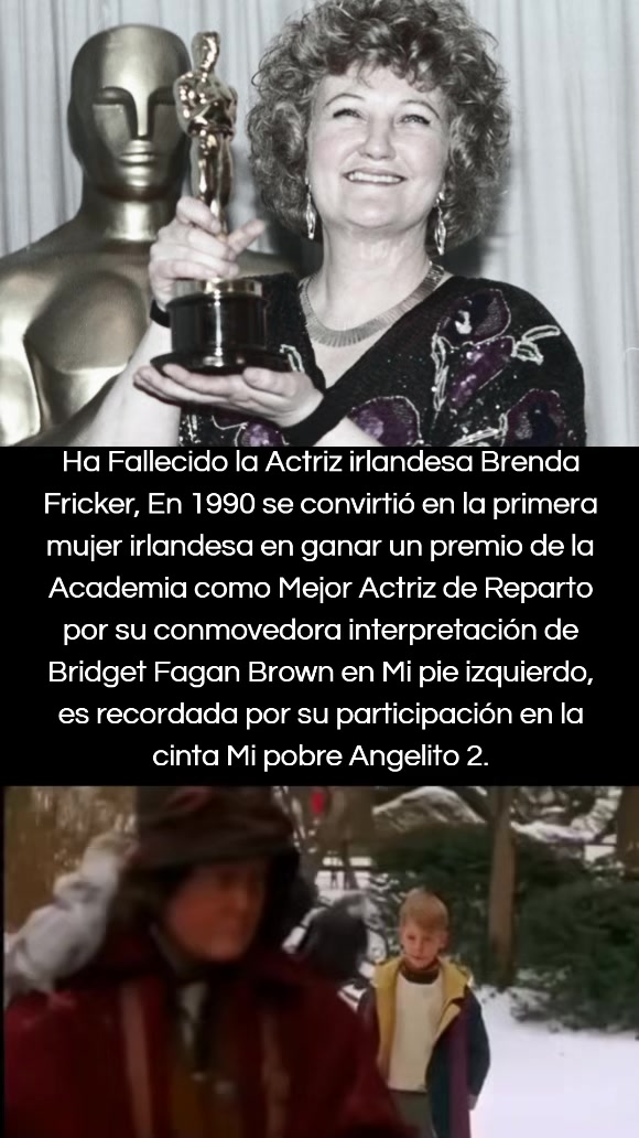 @Gato Cin&eacute;filo Oficial