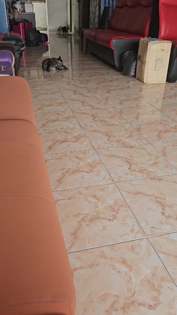 @🌈👜🪙💫☘️ดา💜🧿🪬🐦🔥